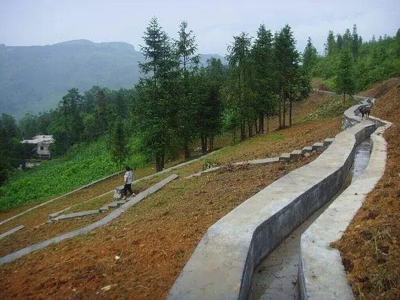 酉陽縣偏柏鄉苗壩等(3)個村土地整理項目